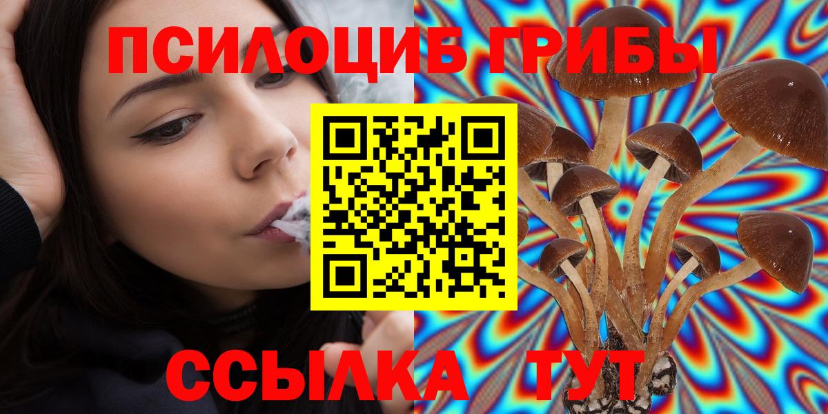 Галлюциногенные грибы ЛСД  Псилоцибиновые грибы ЛСД  дарнет шоп  Магадан  Вход с VPN 